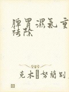 脾胃湿气重怎样祛除封面