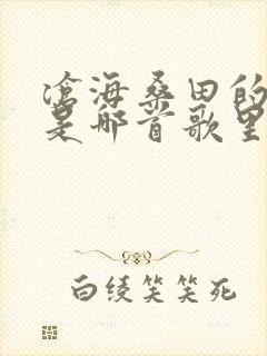 沧海桑田的拥有是哪首歌里的歌词