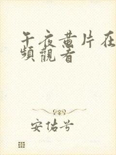 午夜黄片在线视频观看