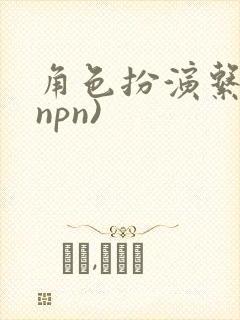 角色扮演系统(npn)