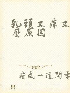 乳头又痒又痛什么原因