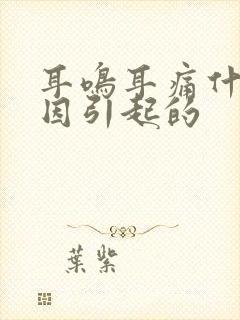 耳鸣耳痛什么原因引起的