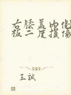 右膝盖内侧半月板二度损伤怎么治