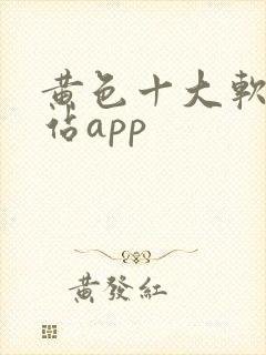 黄色十大软件网站app