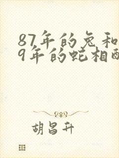 87年的兔和89年的蛇相配吗封面