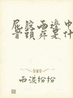 屁股两边中间的骨头疼是什么原因