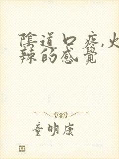 阴道口疼,火辣辣的感觉