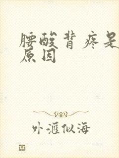 腰酸背疼是什么原因