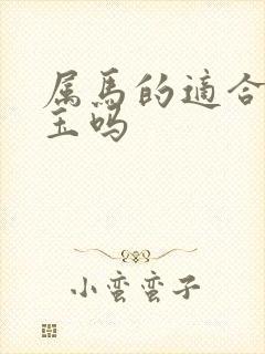 属马的适合佩戴玉吗