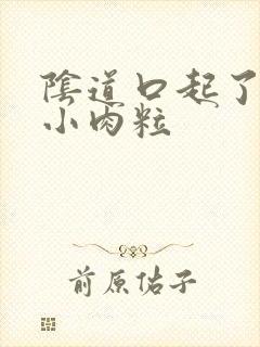 阴道口起了好多小肉粒