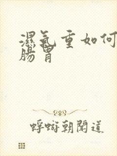 湿气重如何调理肠胃