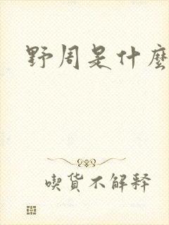 野周是什么意思封面