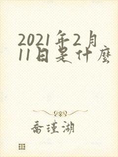 2021年2月11日是什么星座