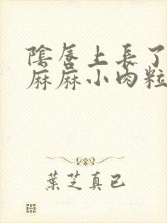 阴唇上长了密密麻麻小肉粒