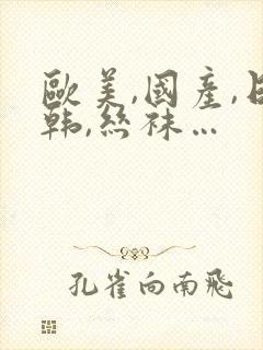 欧美,国产,日韩,丝袜…