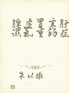 脾虚胃寒肝火旺湿气重的症状