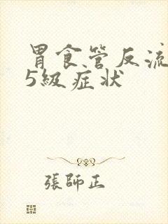 胃食管反流分级5级症状