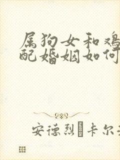 属狗女和鸡男相配婚姻如何