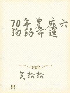 70年农历六月狗的命运