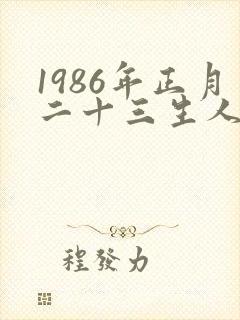 1986年正月二十三生人女命