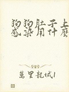 狗狗肚子上真菌感染用什么药封面