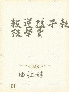 叛逆孩子教育学校学费封面