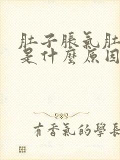 肚子胀气肚子大是什么原因