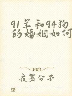 91羊和94狗的婚姻如何
