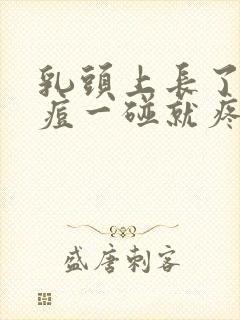 乳头上长了个痘痘一碰就疼