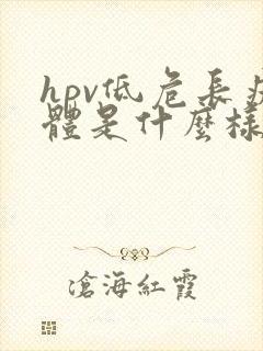 hpv低危长疣体是什么样的