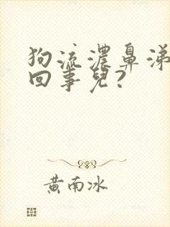 狗流浓鼻涕怎么回事儿?