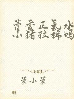 藿香正气水能治小猪拉稀吗