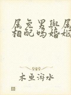 属兔男与属龙女相配吗婚姻