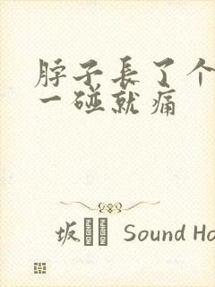 脖子长了个硬块一碰就痛