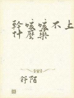 干咳咳不上痰吃什么药