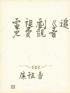 电视剧《追踪》免费观看