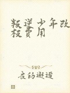 叛逆少年改造学校费用