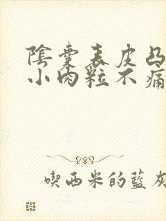 阴囊表皮凸起的小肉粒不痛不痒