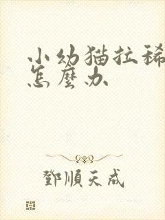 小幼猫拉稀带血怎么办