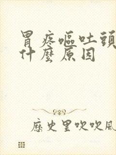 胃疼呕吐头晕是什么原因