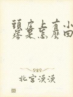 头皮上有小红疙瘩是怎么回事