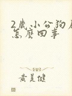 2岁小公狗尿血怎么回事封面