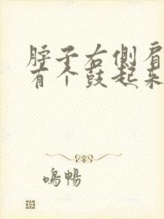 脖子右侧肩膀上有个鼓起来的包