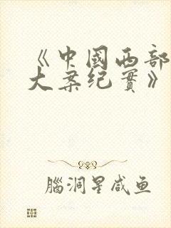 《中国西部刑侦大案纪实》纪录片