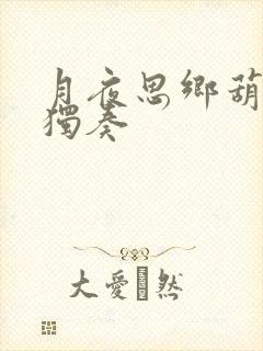 月夜思乡葫芦丝独奏