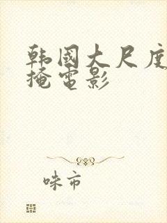 韩国大尺度无遮掩电影