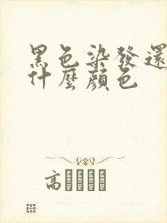 黑色染发还能染什么颜色