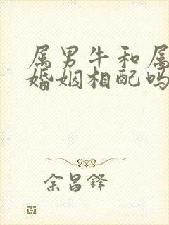 属男牛和属龙女婚姻相配吗