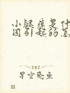 小腿痒是什么原因引起的怎么治疗