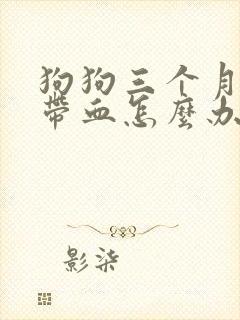 狗狗三个月拉稀带血怎么办